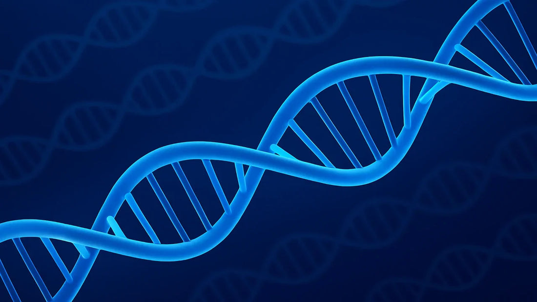 Healthy DNA Strand in Blue