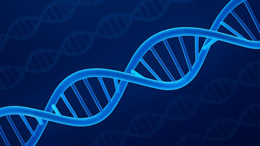 Healthy DNA Strand in Blue